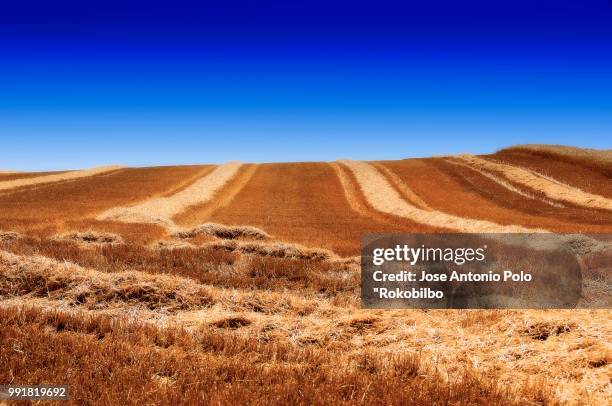 paisaje 33 - paisaje stockfoto's en -beelden