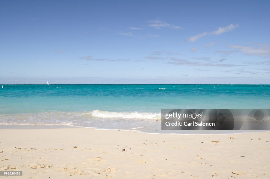 Beach and Ocean
