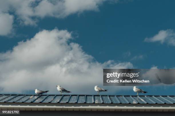 four in a row - rooftop hvac stock pictures, royalty-free photos & images