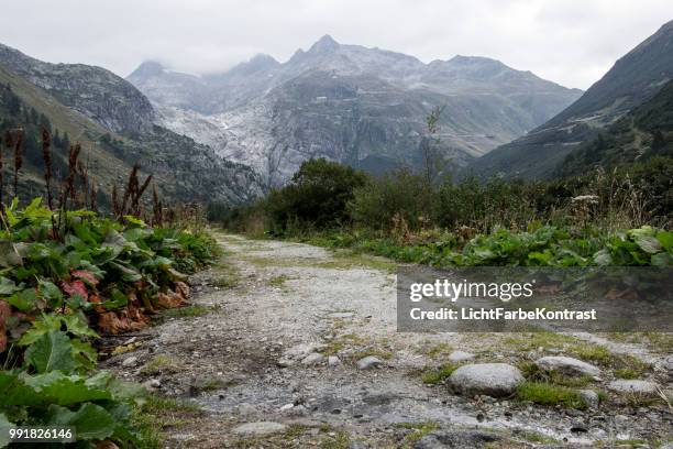 path to the end of the world - farbe foto e immagini stock