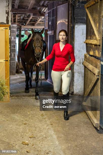 paard nemend voor paardrijden - breeches stockfoto's en -beelden