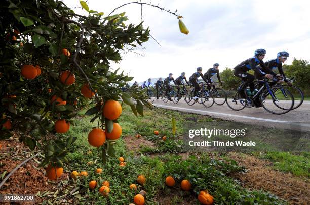 Team Sky Training Camp 2010Illustration Illustratie, Peleton Peloton, Oranges Oranges Appelsienen, Landscape Paysage Landschap, Team Sky , Equipe...