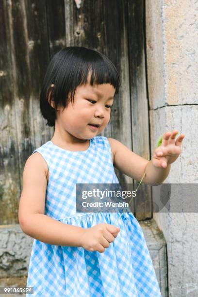 a baby girl play foxtail - foxtail barley stock pictures, royalty-free photos & images