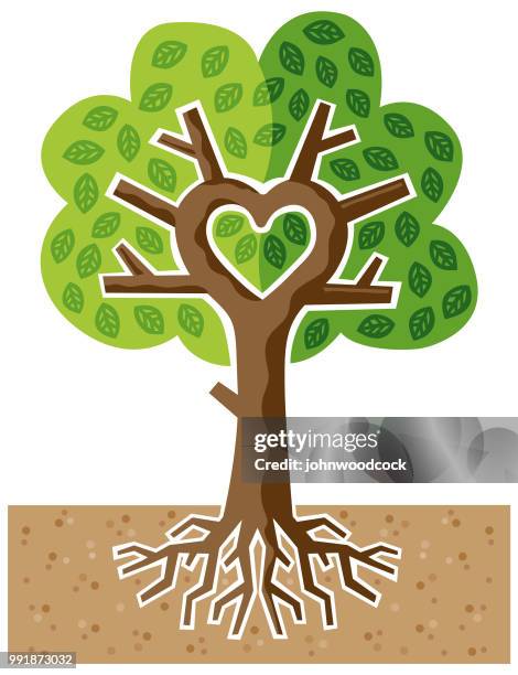 Tree With Roots Animation Photos and Premium High Res Pictures - Getty ...