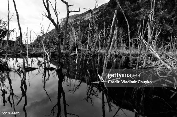 tierra del fuego - tierra stock pictures, royalty-free photos & images