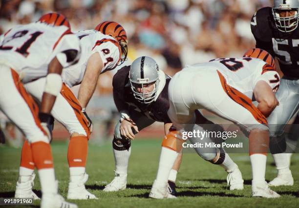 Scott Davis, Defensive Tackle for the Los Angeles Raiders during the American Football Conference Divisional Playoff game against the Cincinnati...