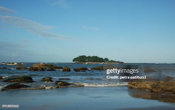 the island.. - patitucci fotografías e imágenes de stock