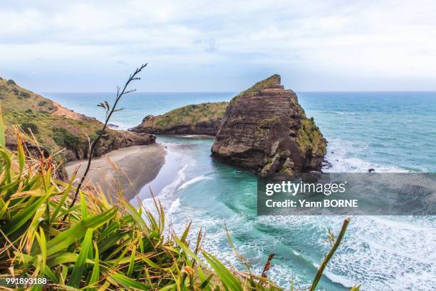 rocher de piha beach - rocher stock pictures, royalty-free photos & images