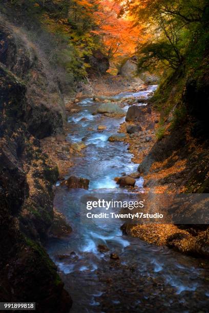 aerial view of river in autumn - nationalpark jōshin’etsu kōgen stock-fotos und bilder