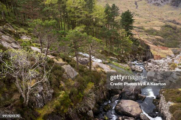mountainous scenery at ogwen falls, cwm idwal, north wales - nant ffrancon bildbanksfoton och bilder