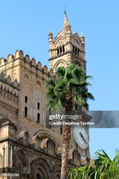 cathedral of palermo - delphine stock pictures, royalty-free photos & images