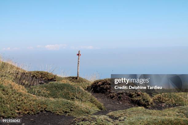 view from mount etna - delphine photos et images de collection