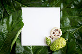Paper mockup white card on a Noni leaves or Morinda Citrifolia background and noni slice with seed of the noni. Creative layout with nature concept. with copy space for text. Top view.