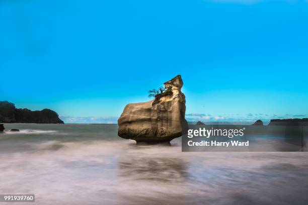 cathedral cove - cathedral cove stock pictures, royalty-free photos & images