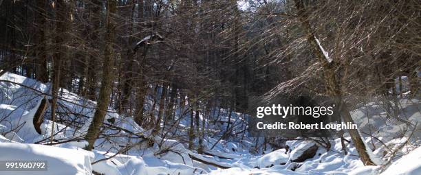 kaaterskill falls - kaaterskill falls stock pictures, royalty-free photos & images