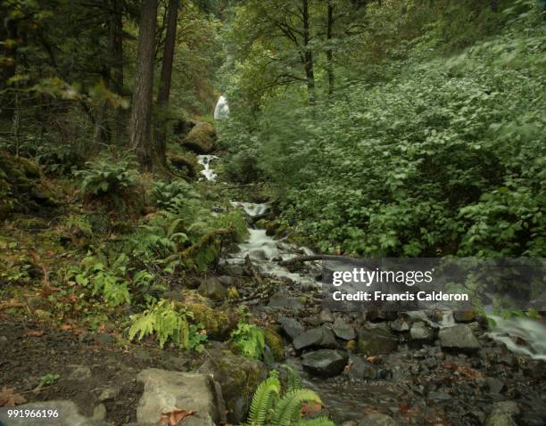 Francas Rocks 1,099 Francis Rocks Stock Photos, High-Res Pictures, and Images - Getty ...