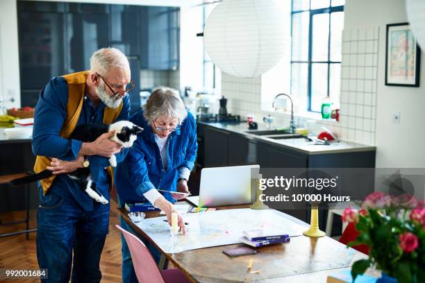 retired couple planning once in a lifetime vacation - cat holding sign stock pictures, royalty-free photos & images