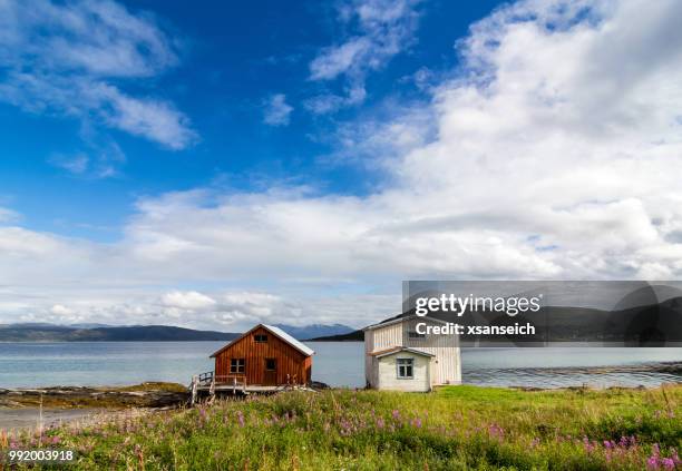 traditional rorbu fisherman houses on seashore, botnhamn, troms, norway - rorbuer stock pictures, royalty-free photos & images