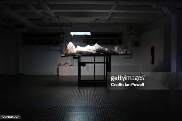 laura palmer, wrapped in plastic.... - morgue photos et images de collection