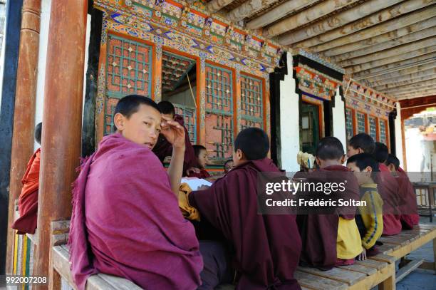 Hemis Tibetan Buddhist Monastery. Students of the Tibetan Buddhist monastery of Hemis in Ladakh, Jammu and Kashmir on July 12 India.