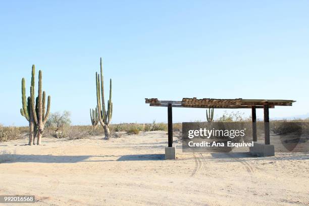 valle de los gigantes.jpg - ana silva stock pictures, royalty-free photos & images