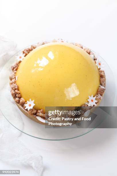contemporary mango apricot and coconut mousse cake - mousse foto e immagini stock
