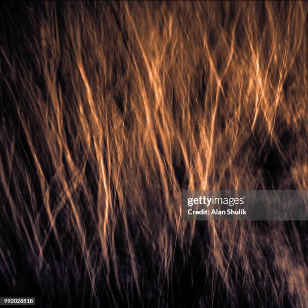 salt marsh grasses - alan bersten stock-fotos und bilder