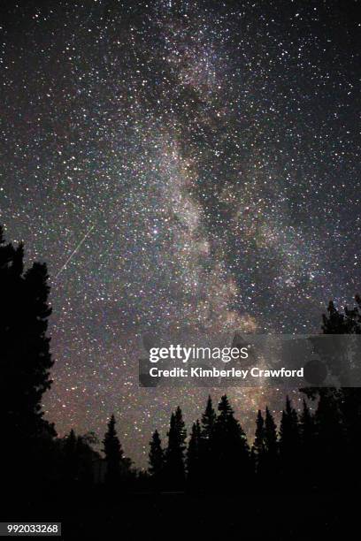 Star Belt High-Res Stock Photo