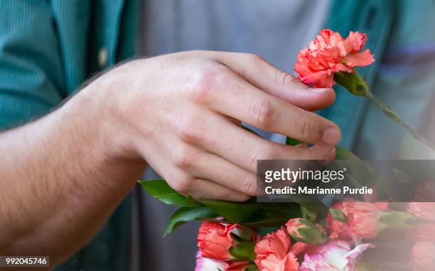 close-up of carnations in a man's hands - flower arrangement carnation ストックフォトと画像