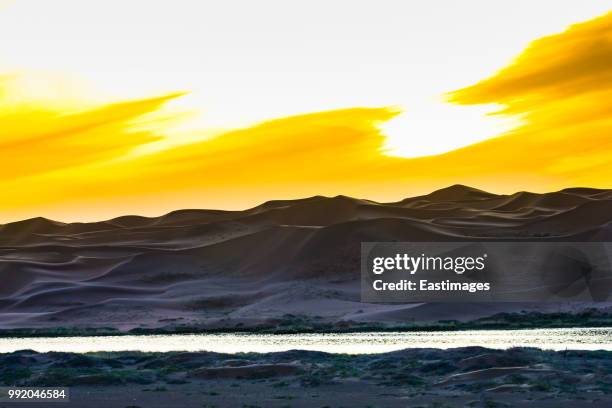 sunset over sand dunes - comportamientos de la flora fotografías e imágenes de stock