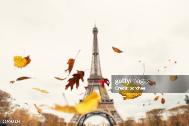 herbst in paris - borchee stock-fotos und bilder