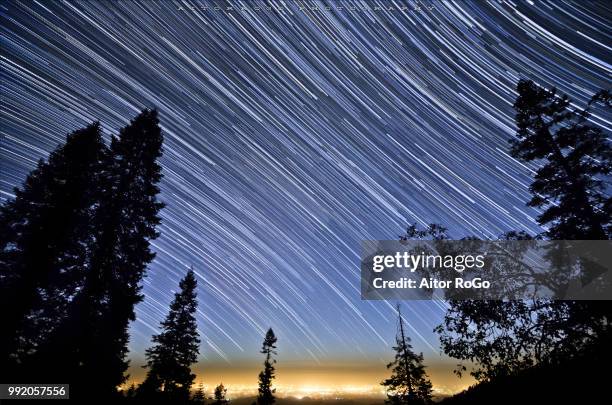 star trailing - sequoia national park ca - sequoia stock pictures, royalty-free photos & images