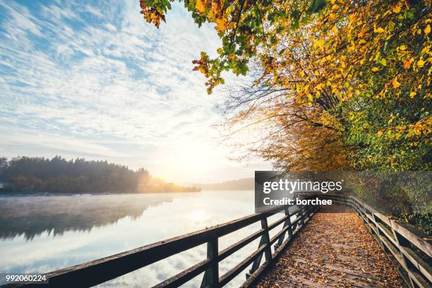 herbst-pfad am see - borchee stock-fotos und bilder