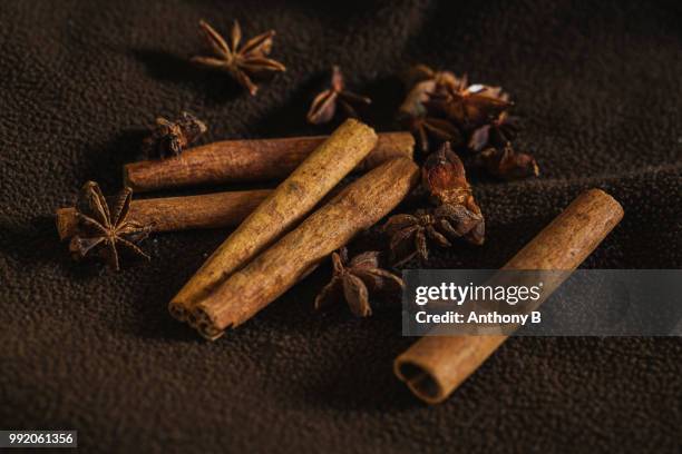 cinnamon sticks and star anis - anis stockfoto's en -beelden