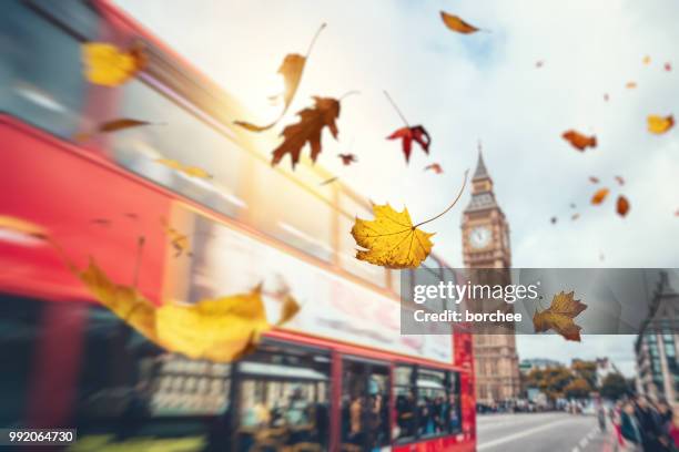 falling autumn leaves in london - london bus big ben stock pictures, royalty-free photos & images