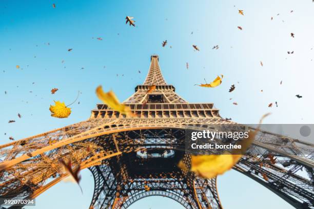 autumn in paris - tourism drop in paris stock pictures, royalty-free photos & images