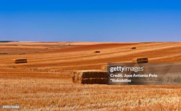 paisaje 37 - paisaje stockfoto's en -beelden