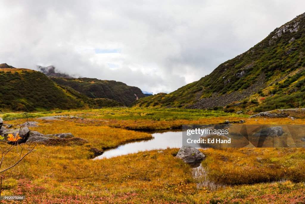Granite Creek Basin - Muskeg Pond