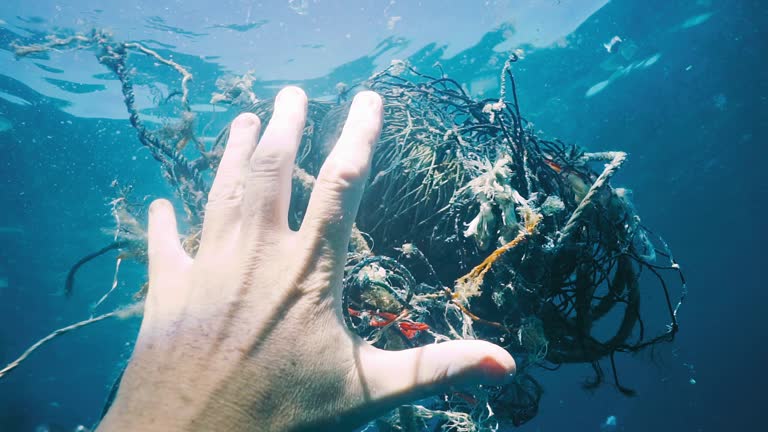 Removing Pollution 957 Ocean Pollution Net Stock Videos, Footage, & 4K Video Clips - Getty ...