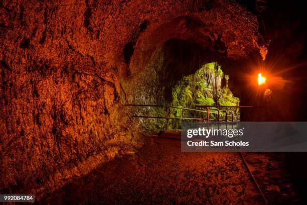 thurston lava tube - lava tube stock pictures, royalty-free photos & images