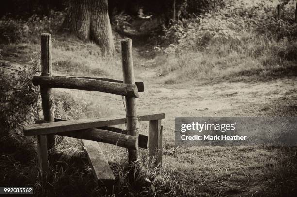 stile - stile stock pictures, royalty-free photos & images