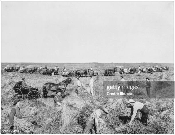 illustrazioni stock, clip art, cartoni animati e icone di tendenza di fotografia antica dei famosi paesaggi americani: raccolta in dakota - midwest