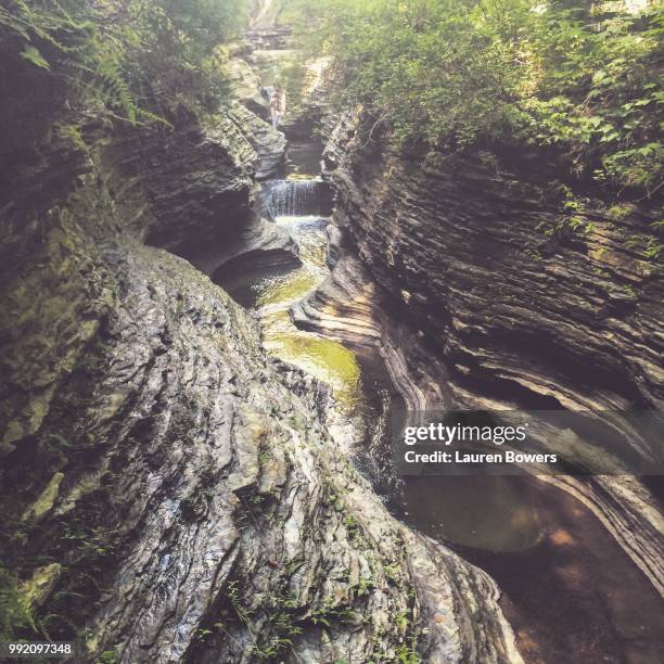 watkins glen state park 1 - lauren brooke stock pictures, royalty-free photos & images