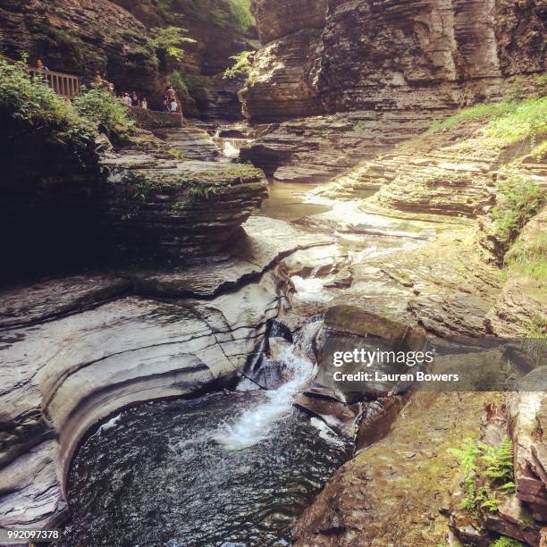 watkins glen state park 7 - lauren brooke stock pictures, royalty-free photos & images