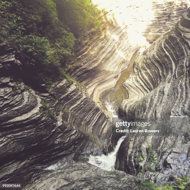 watkins glen state park 4 - lauren brooke stock pictures, royalty-free photos & images