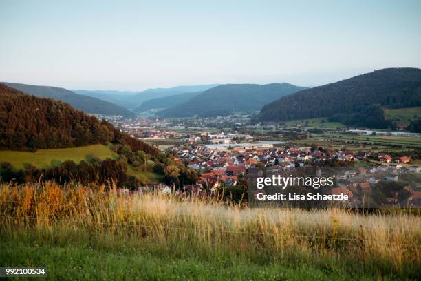 view over haslach im kinzigtal, black forest - haslach im kinzigtal stockfoto's en -beelden