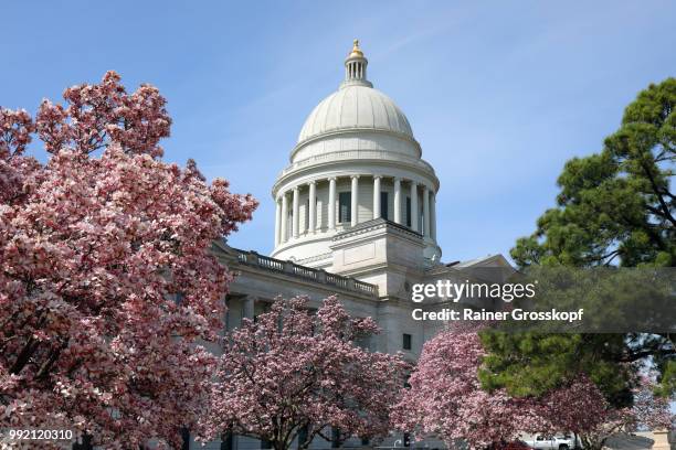 state capitol of arkansas in spring - rainer grosskopf fotografías e imágenes de stock