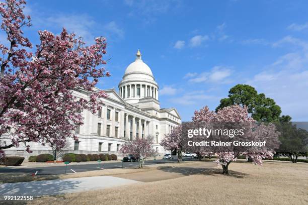 state capitol of arkansas in spring - rainer grosskopf stock pictures, royalty-free photos & images