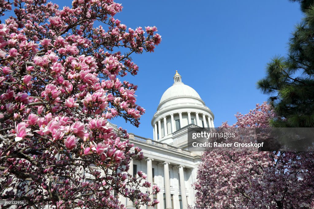 State Capitol of Arkansas in spring