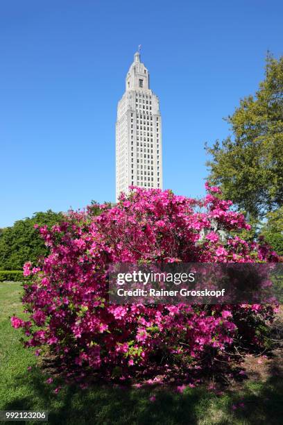 state capitol of louisiana with blooming azalea - rainer grosskopf photos et images de collection